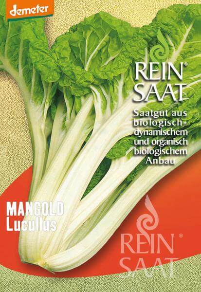 Reinsaat BIO Mangold Lucullus